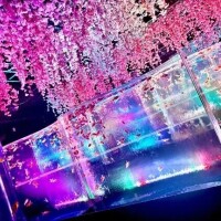 4/16 デート👫💗
