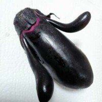 めぐ