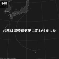 よう