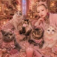 はじめまして…ん？