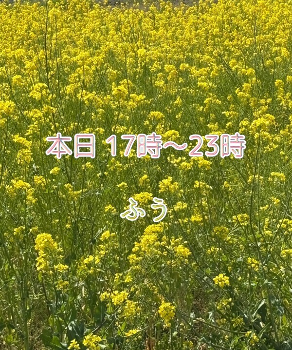 本日17時から*\(^o^)/*