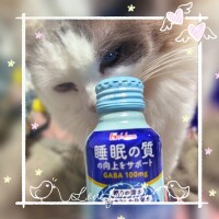 帰宅