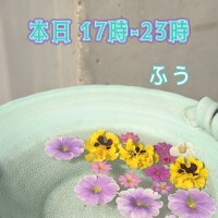 本日17時から💫