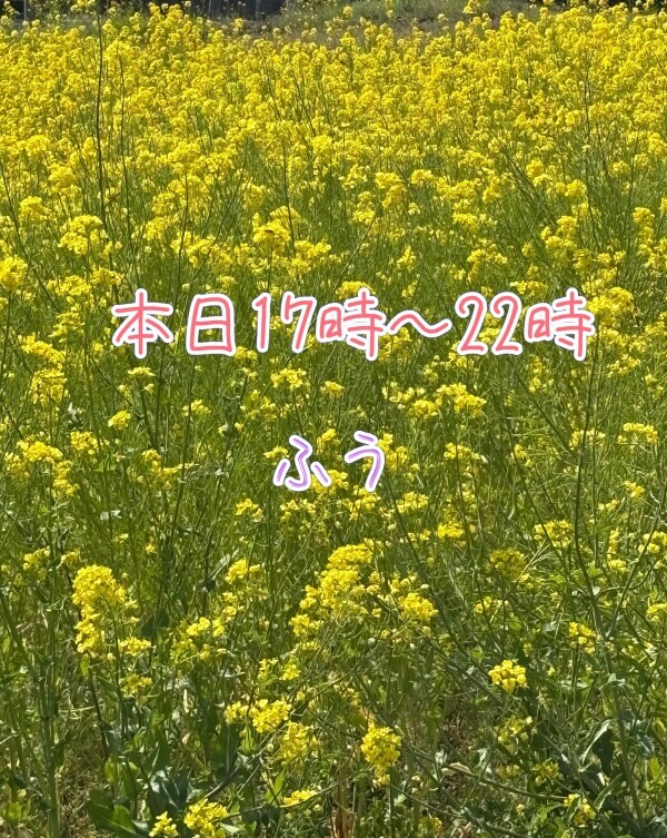 本日17時~22時*\(^o^)/*💖