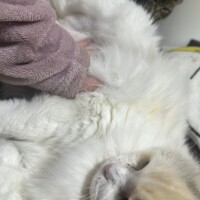 おはようございます