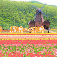 本日17時から*\(^o^)/*♡