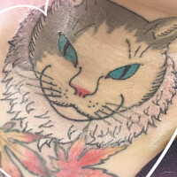 彫り活