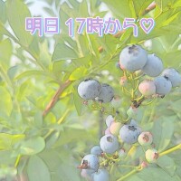 ふう