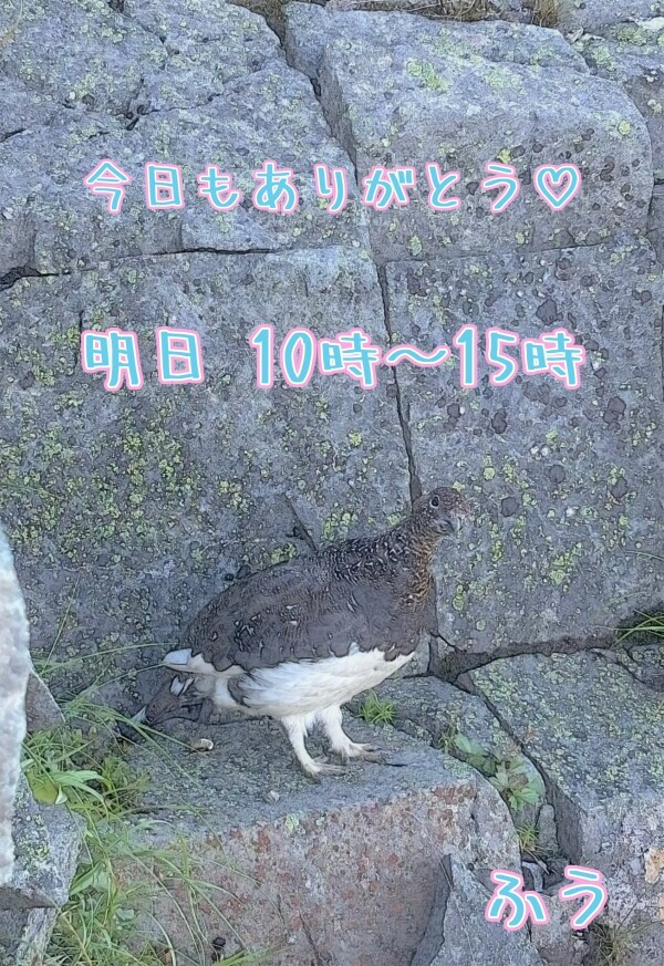 今日もありがとう*\(^o^)/*💖