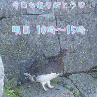今日もありがとう*\(^o^)/*💖