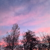 ふう