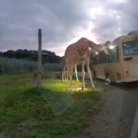 おはようございます