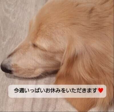 こんばんは♥️