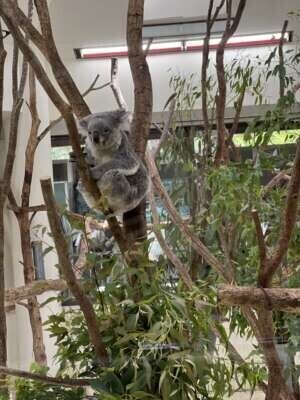 ハッピーハロウィン