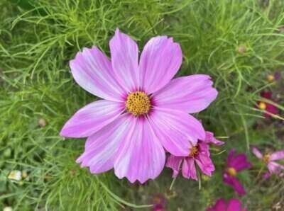 ８月と９月のお礼♡