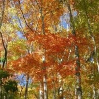 おやすみします