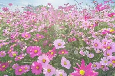 出勤しました☆