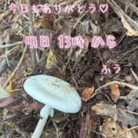 今日もありがとう*\(^o^)/*♡♡♡