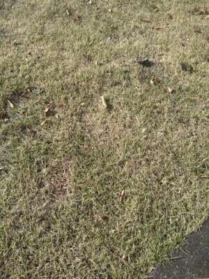 土曜だけど、、