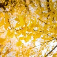 あしたもいるよ