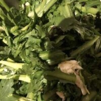 今日もありがとうございました🫶💕