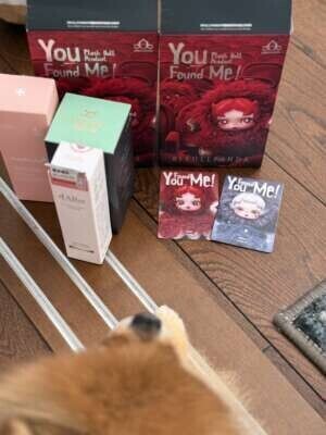 やったね。アリスちゃん。