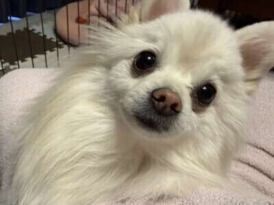 んんん？なんでぇ？