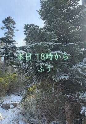 昨夜もありがとう💕