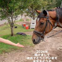 ２０２６年も癒らしく♡