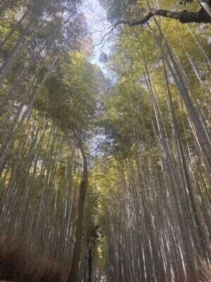 自然を求めるようになってきた