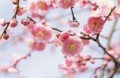 １月と２月のお礼♡