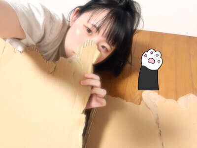 猫の手も借りたいよう