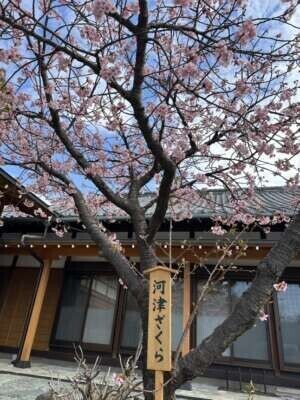 ありがとうございます💕