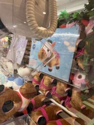 土曜日は完売ありがとう