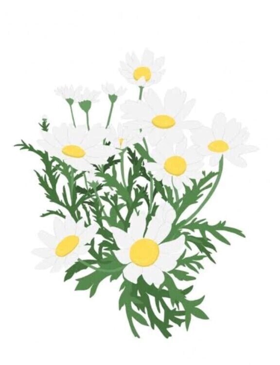 すみません！🙇‍♀️☔️