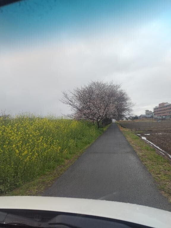 雨だけど。