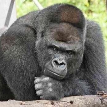 [お題]from:ガリガリ君さん