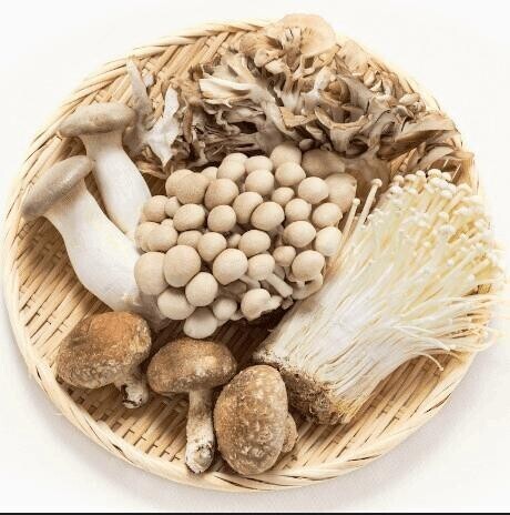 [お題]from:ヨーグルトさん