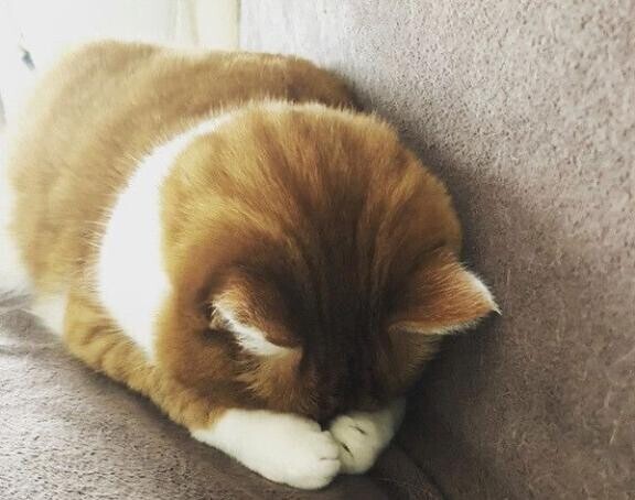 ごめんなさい～(´；ω；｀)