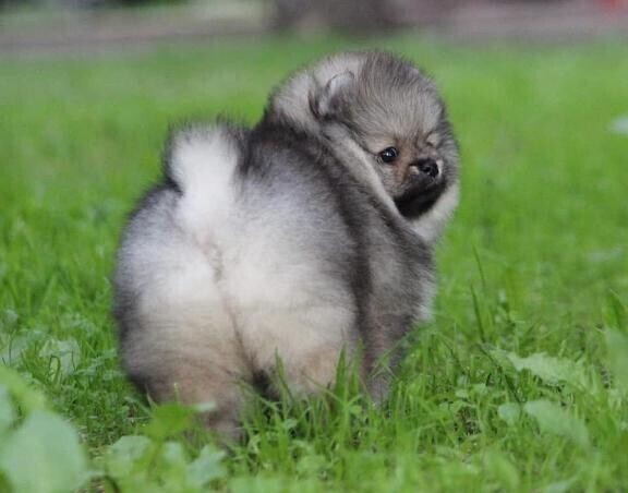 [お題]from:本体はめがねさん