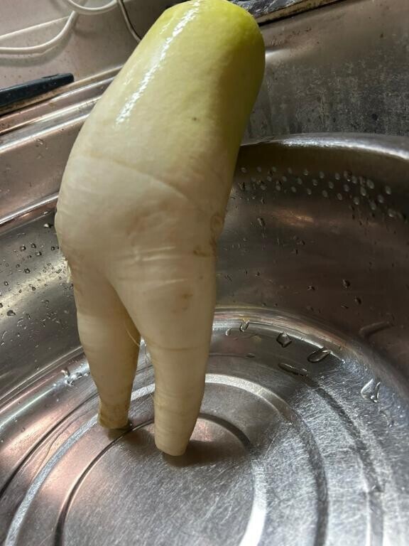 [お題]from:たかっくさん