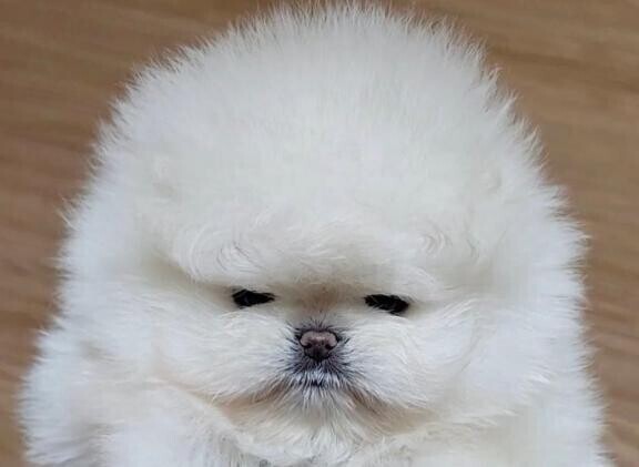 [お題]from:5千ピースパズルさん