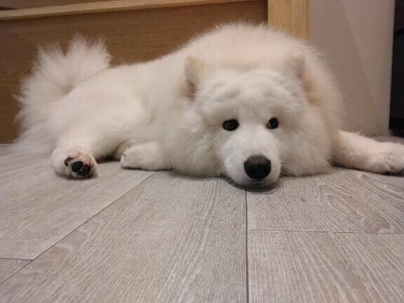 [お題]from:足つぼさん