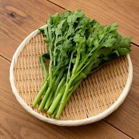 [お題]from:ディマンシェさん