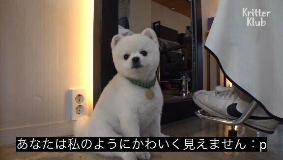 [お題]from:purinさん