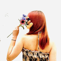 やなぎ