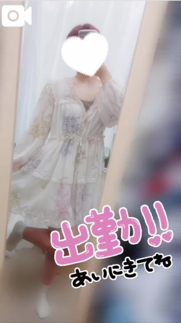 🌟出勤報告🌟
