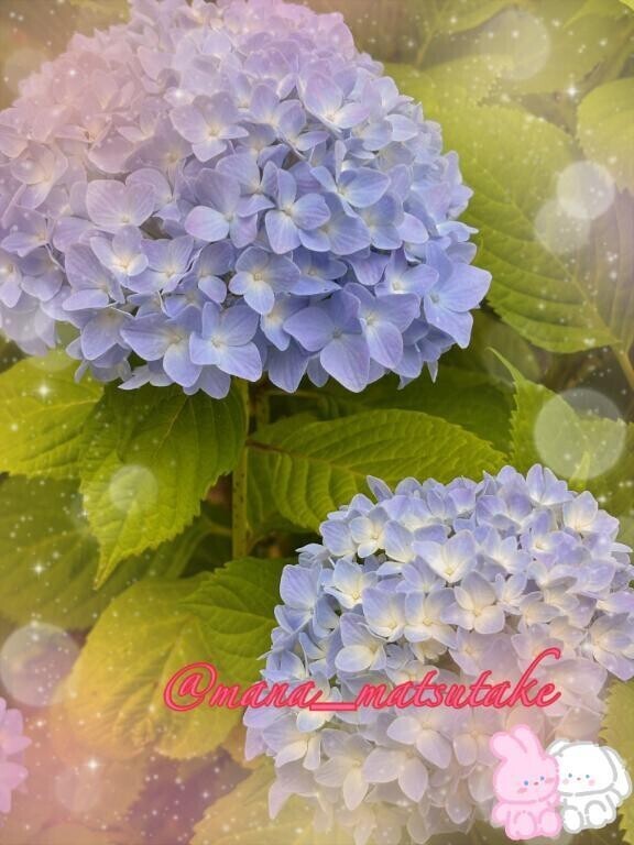 青春っ❣️