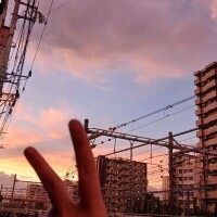 ?来週以降の予定?