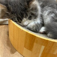 ???出勤報告?